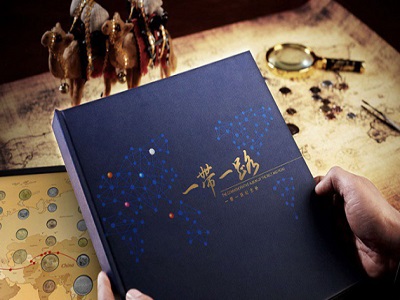 加快“数字一带一路” 防止被“数字霸主”通吃