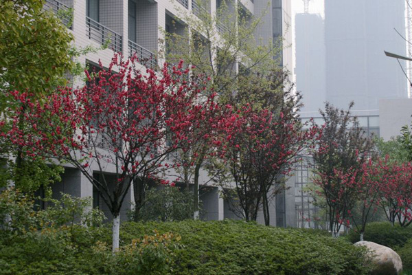 3所中学一本录取率达90% ，湖北这是要放大招！