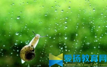 关于拍身份证照片有什么要求