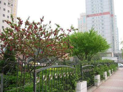 天津艺术职业学院2019春季高考招生章程