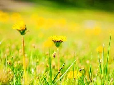 好词好句 描写春天的古诗