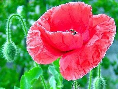 好词好句 描写中年男人的句子