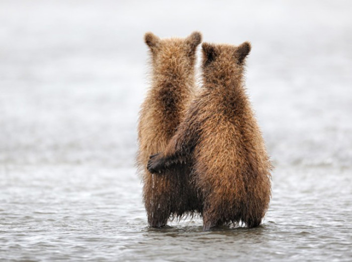 关于爱的优美句子