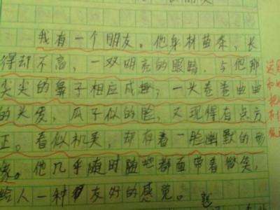 描写人物外貌的段落的节选