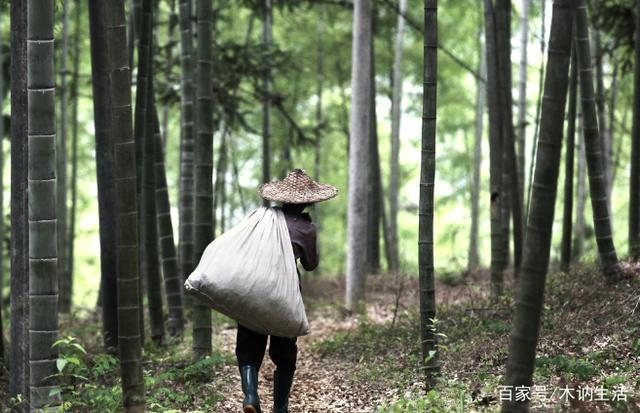 山上有竹子后面的句子