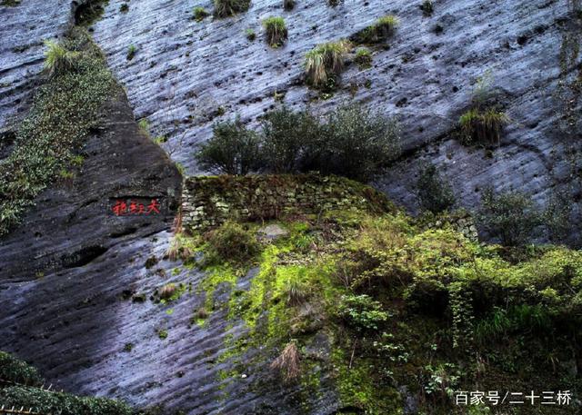 有关乌龙茶文化名句书法