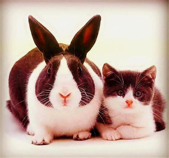 农民工幽默句子