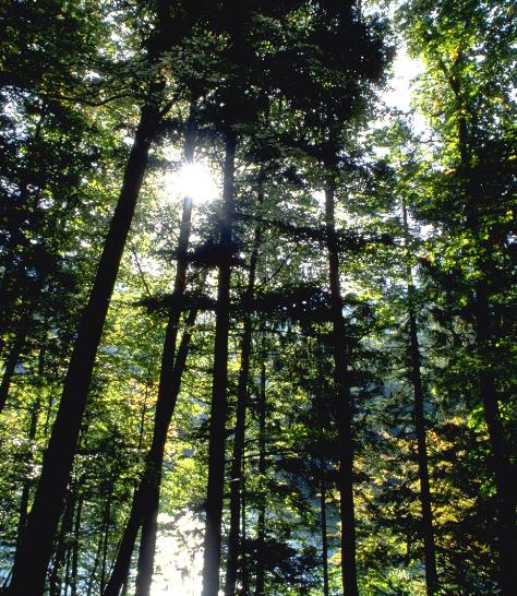 天空的云彩好句