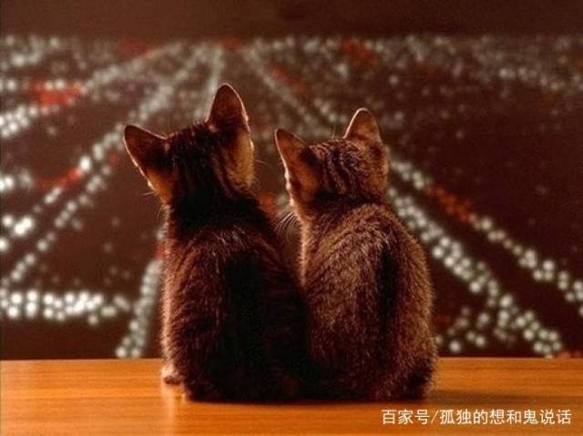 日记的句子 日记的句子