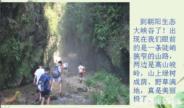 观察事物的句子