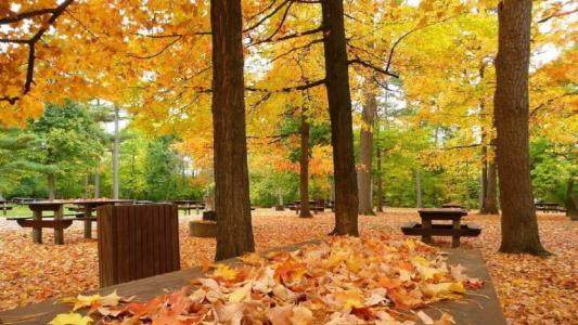日复一日年复一年句子