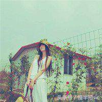 不要去试探爱情 语录