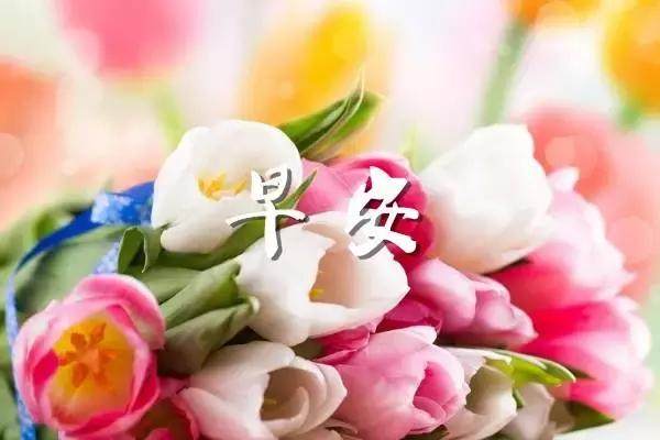 优美的句子配图