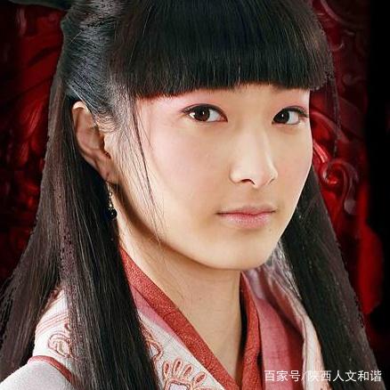 画线的句子说明秦王