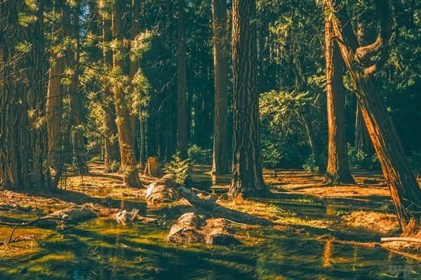 形容大自然美妙的好句子有哪些