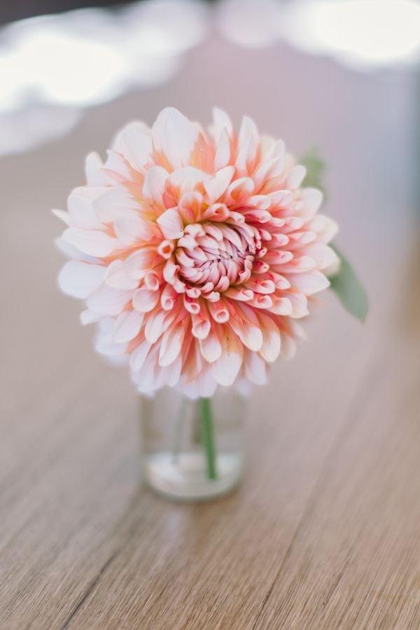 关于校园家的美好句子