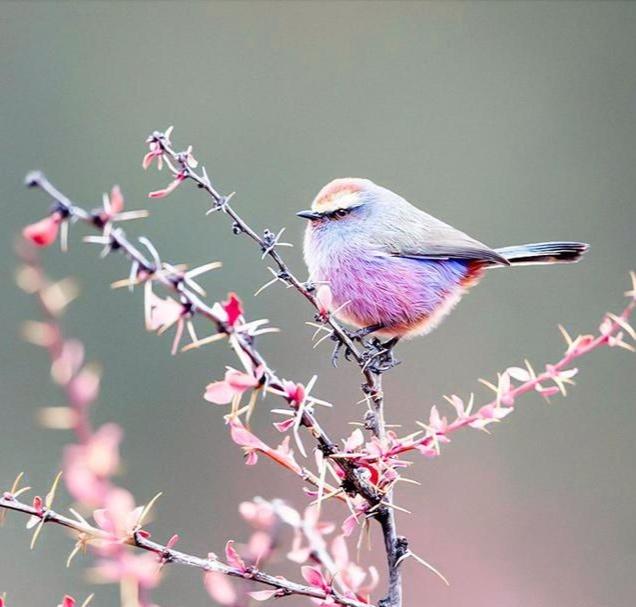 个人总结经典语录