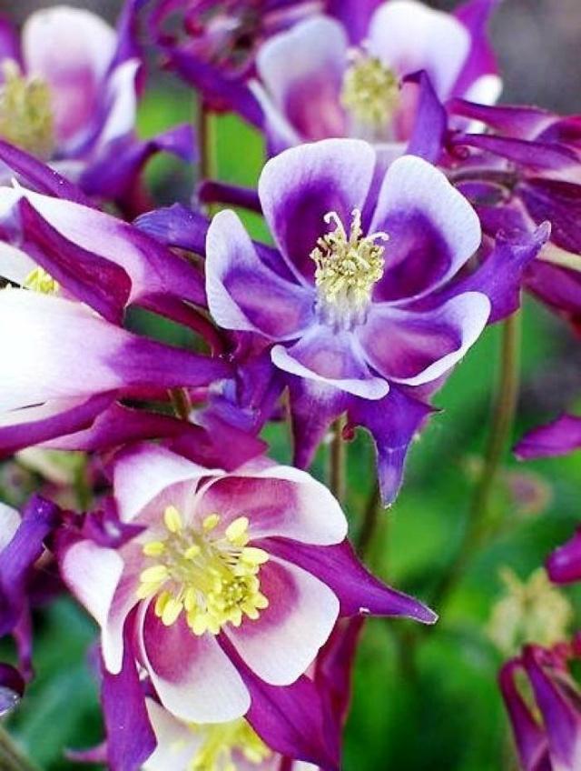 管不了就不管句子 管不了就不管句子