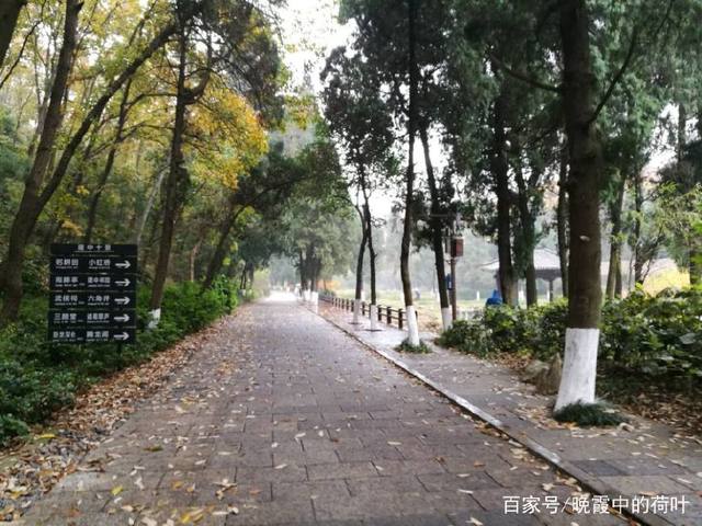 记一个印象深刻的人 好句 记一个印象深刻的人 好句