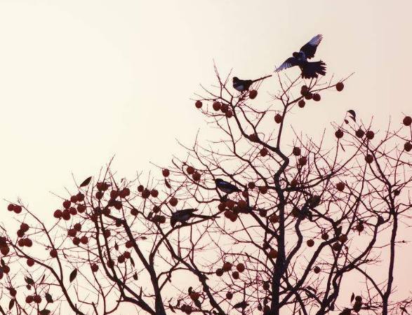 情人节搞笑经典语录