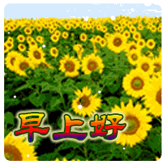 祝自己早上好的句子