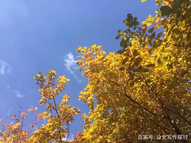 合作开头的句子