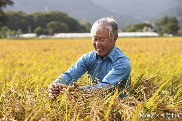 赞美农业的句子