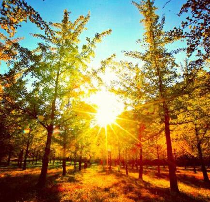 方向怎样写句子