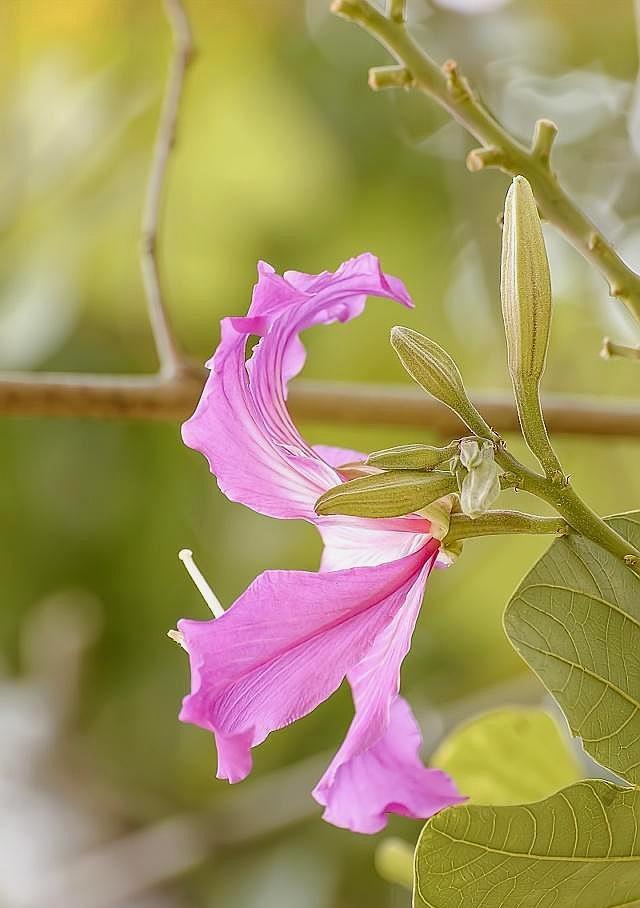 一句有有事一当的句子