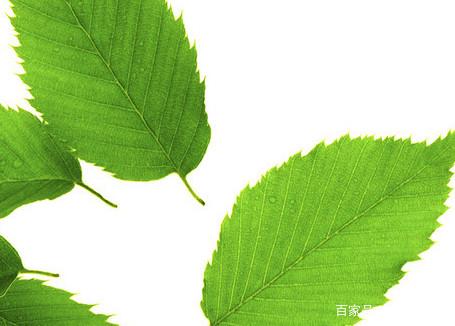 有关沟通的优美语录