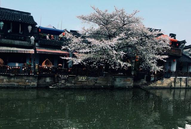 西塘夜景唯美句子