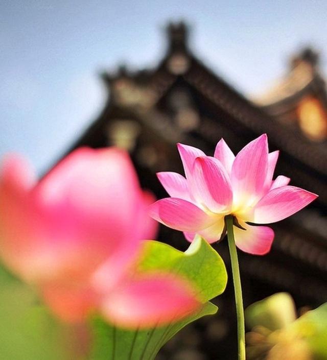 看透人生感悟的句子 看透人生感悟的句子