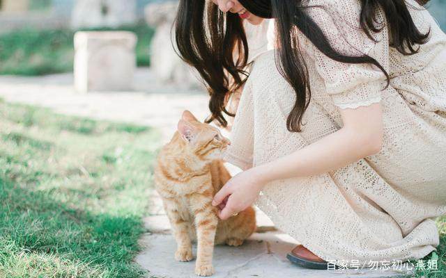 一个人一座城经典句子 一个人一座城经典句子