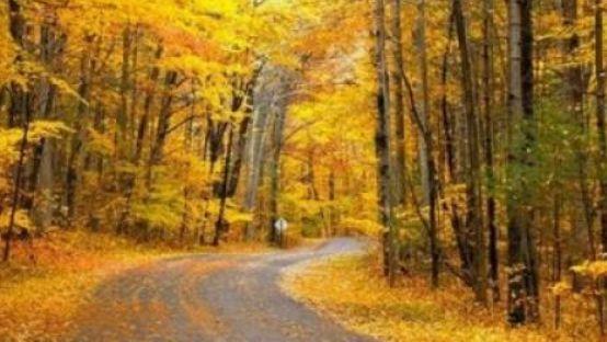 吹风的句子 吹风的句子