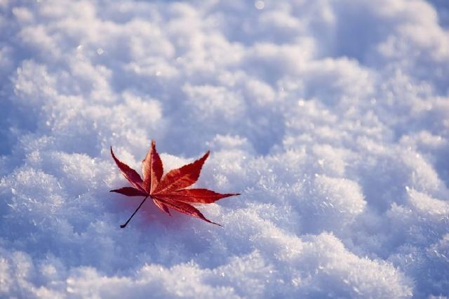 简短的冬天好句子