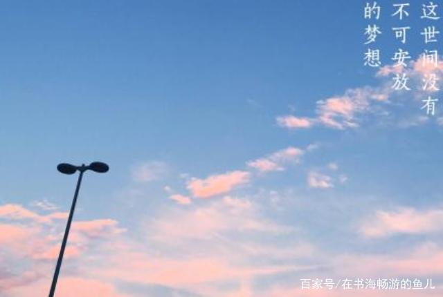 狼王梦好句大全 狼王梦好句大全