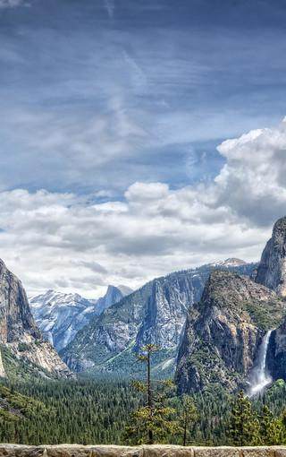 十个关于亲情的句子