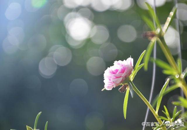 别人拿你当回事的句子