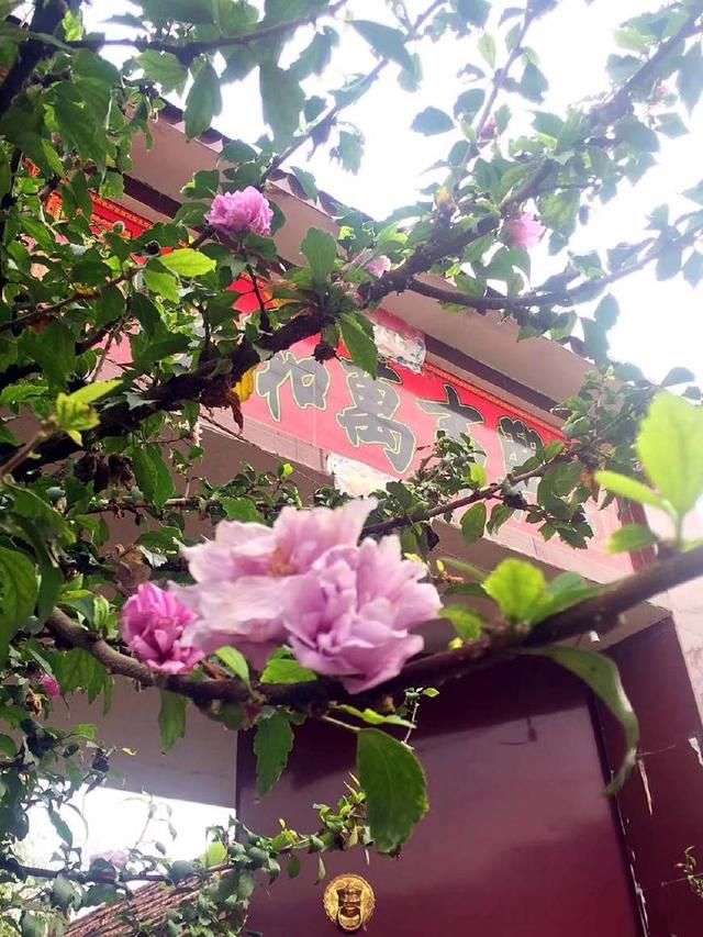 关于春天的古诗名句