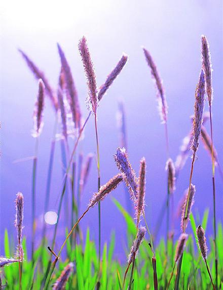 吸引别人招聘的好句子