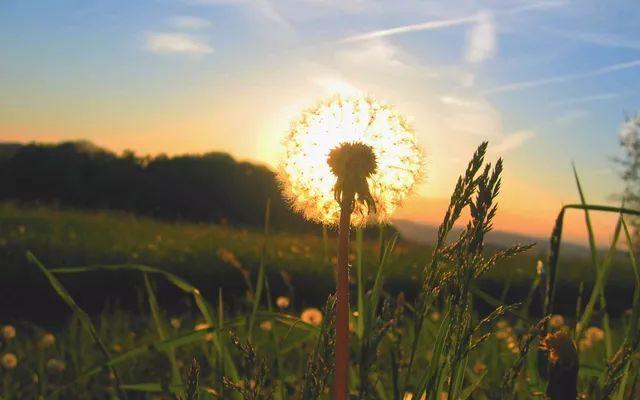 作文题记可以用名人名句吗