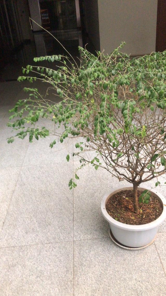 高考议论文各方面的名句