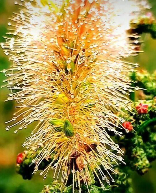 爱情陪伴的美文好句