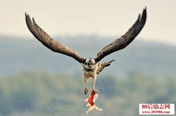 100个短的好句子