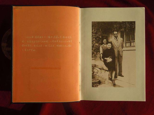 我们仨杨绛好句及点评