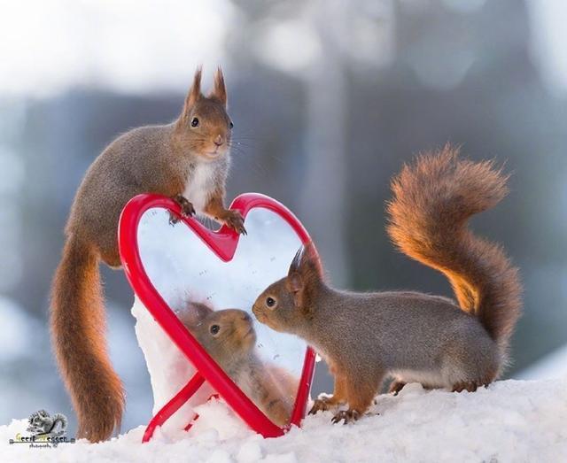 好句子18字大全 好句子18字大全