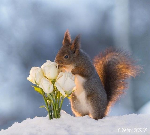 形容女孩调皮的句子