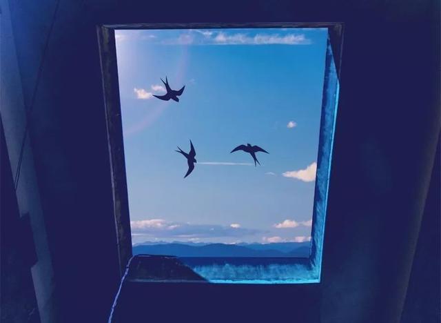 春天燕子的好句子