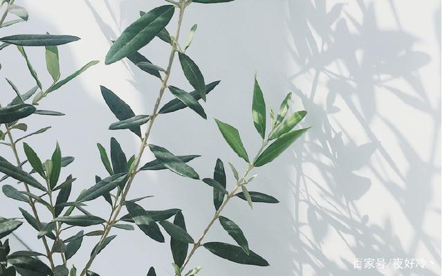 把爱深藏起来句子