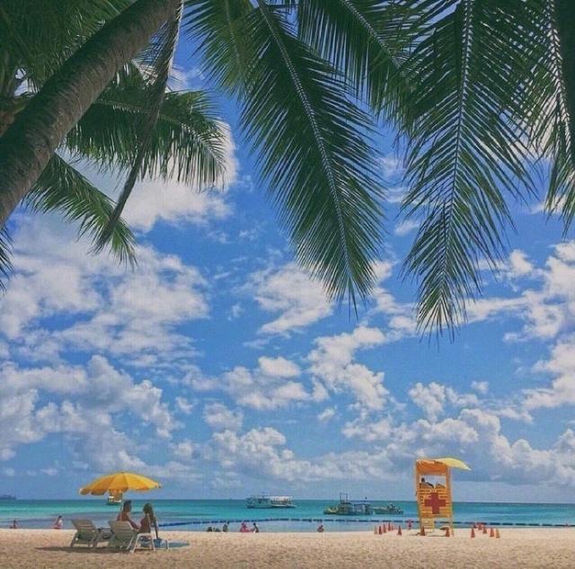 努力拼搏的名句